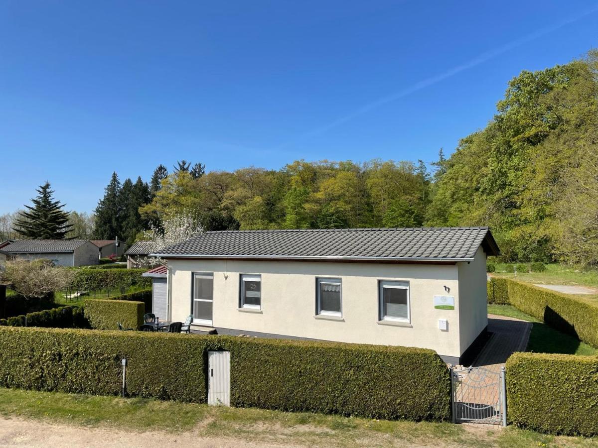 Ferienhaus Am Klosterwald Dargun Экстерьер фото