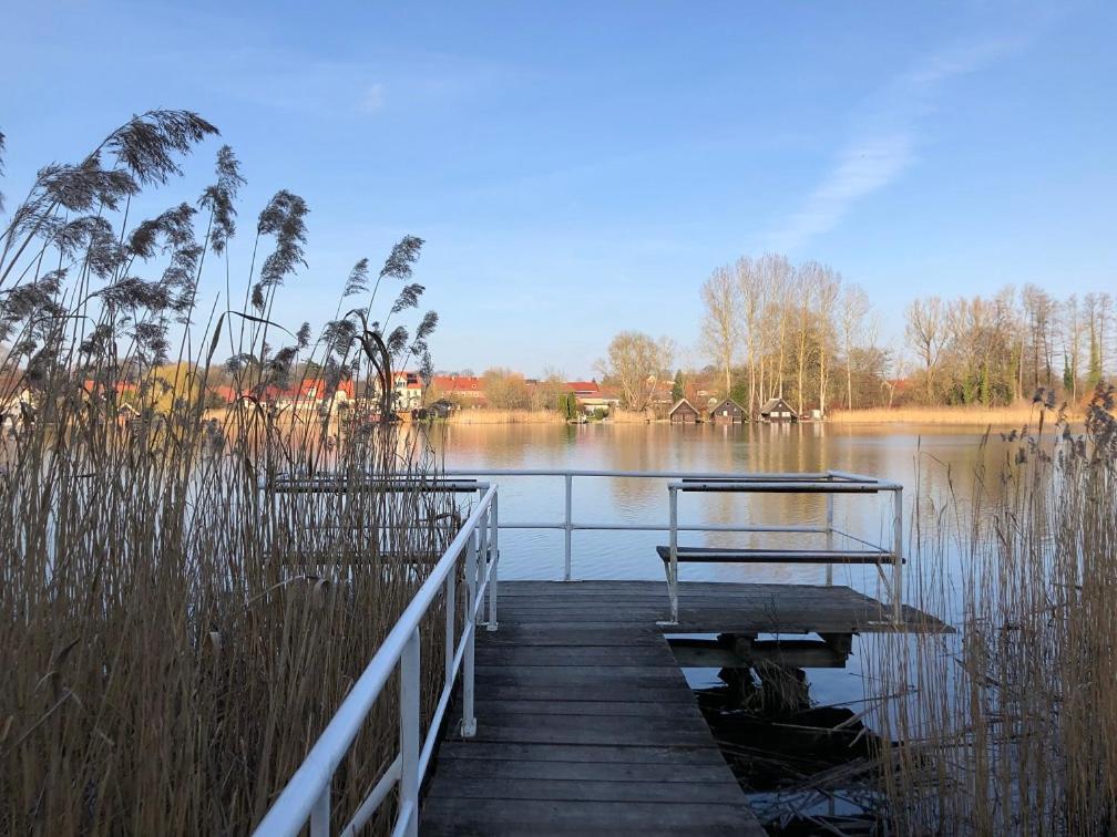 Ferienhaus Am Klosterwald Dargun Экстерьер фото