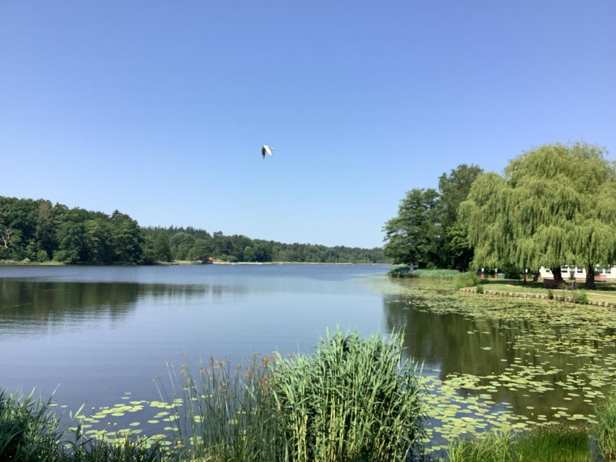 Ferienhaus Am Klosterwald Dargun Экстерьер фото