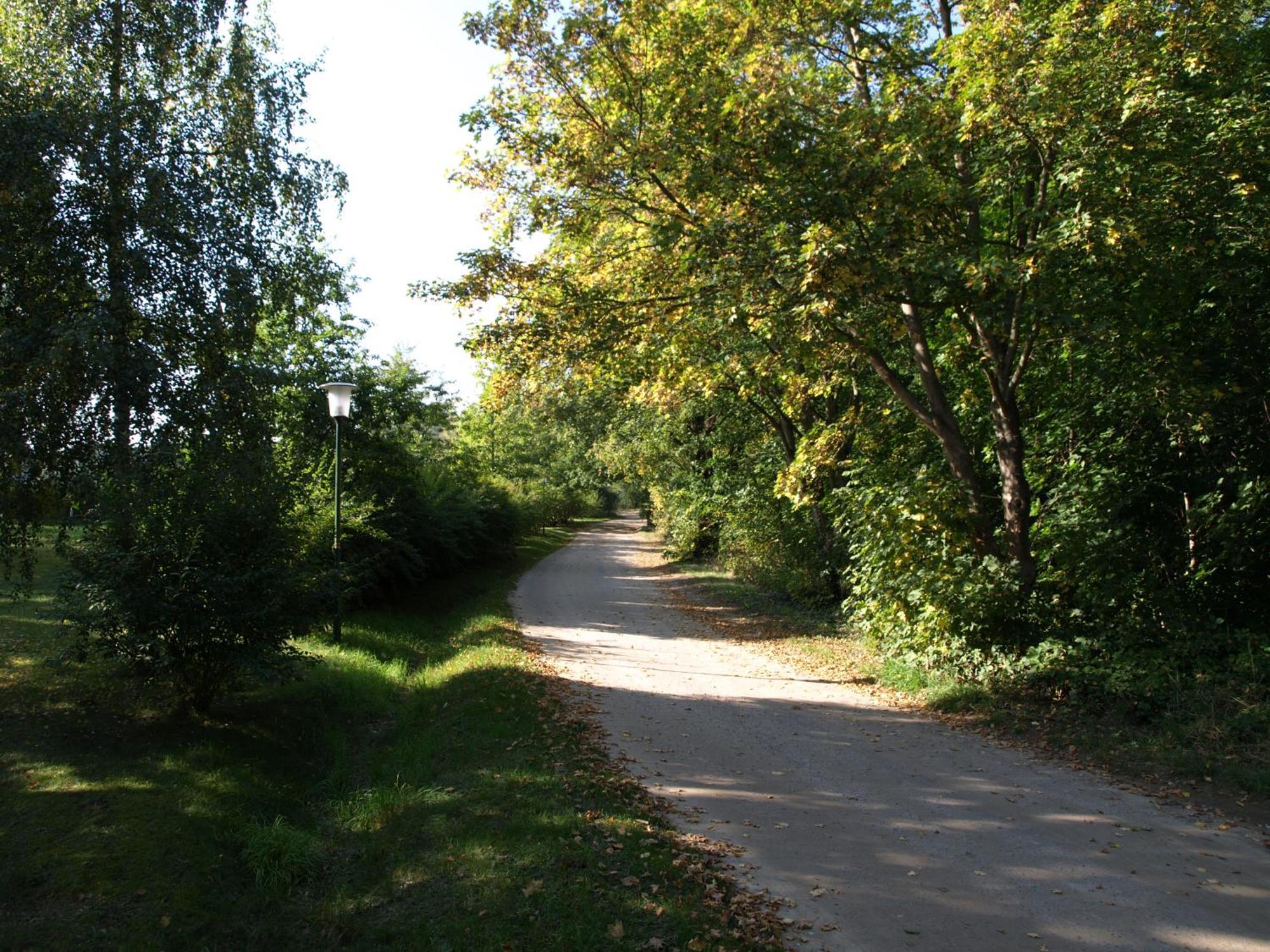 Ferienhaus Am Klosterwald Dargun Экстерьер фото